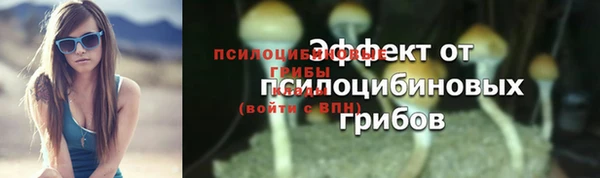 экстази Богданович