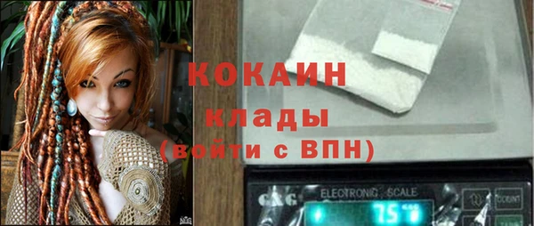 трава Богородицк