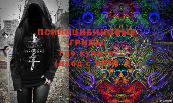 экстази Богданович