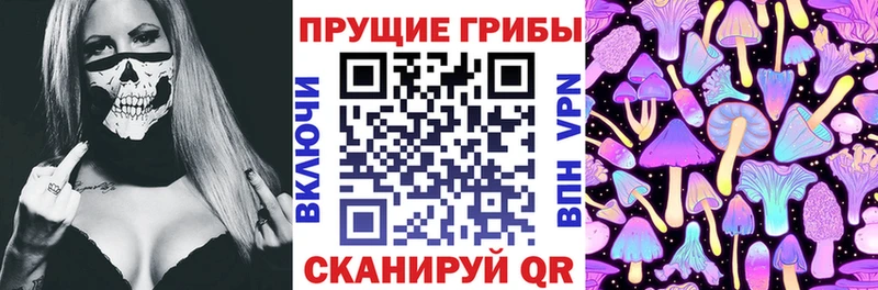 KRAKEN ссылки  что такое   Игра  Псилоцибиновые грибы MAGIC MUSHROOMS 